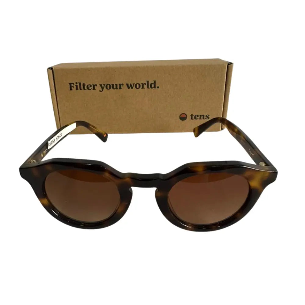 Lentes de Sol Carter