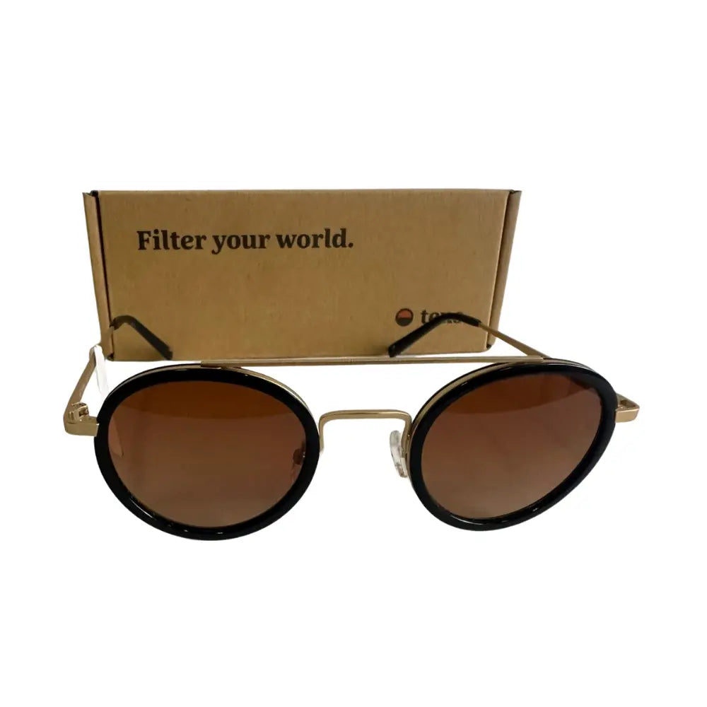 Lentes de Sol Hoxton
